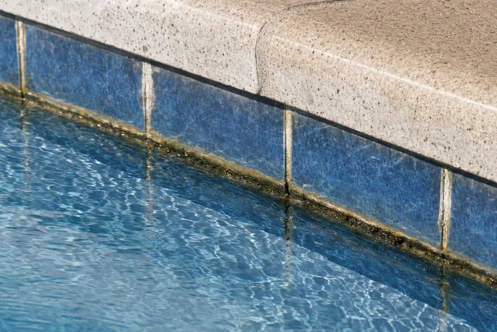 Wasserlinie eines Schwimmbeckens mit leichtem Fettrand an der Wand