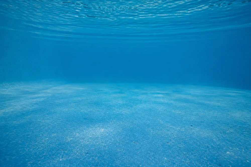 Feiner heller Staubbelag am blauen Beckenboden eines Schwimmbeckens