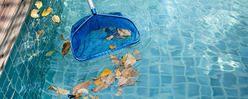 Pool reinigen Pool reinigen