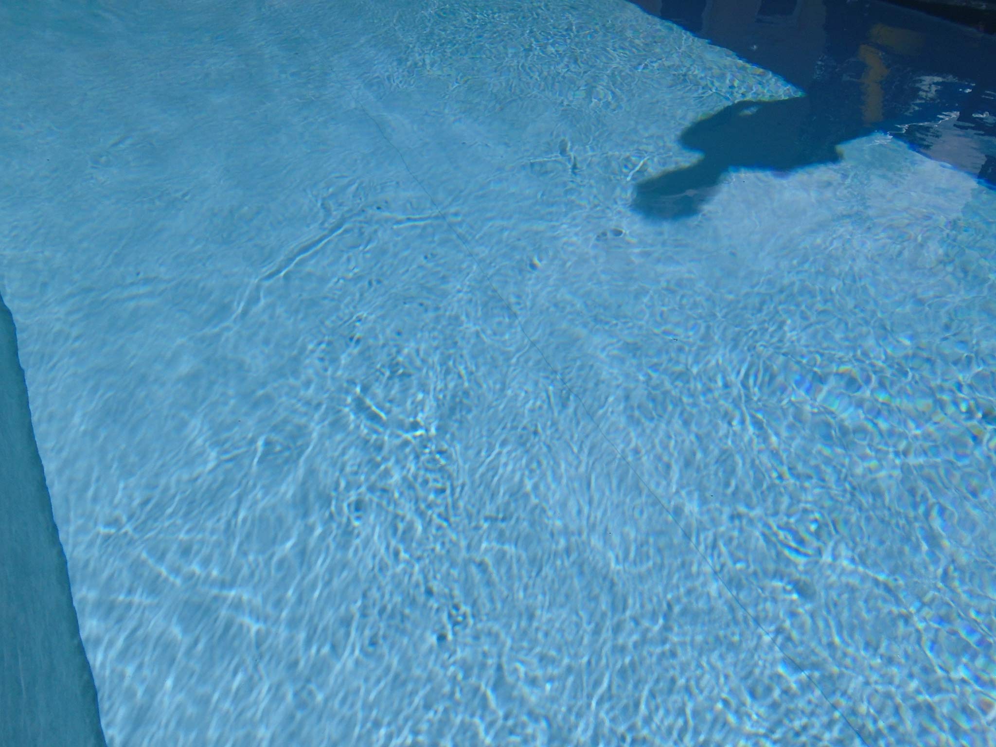 DSC00137