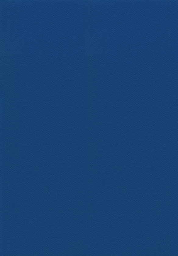 DLW gewebeverstärkte Schwimmbadfolie Marine