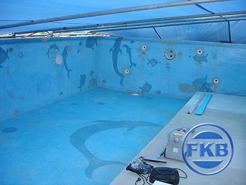 Detailansicht eines leeren Pools mit hellblauer Oberfläche und Delfinmotiven, bereit zur Sanierung