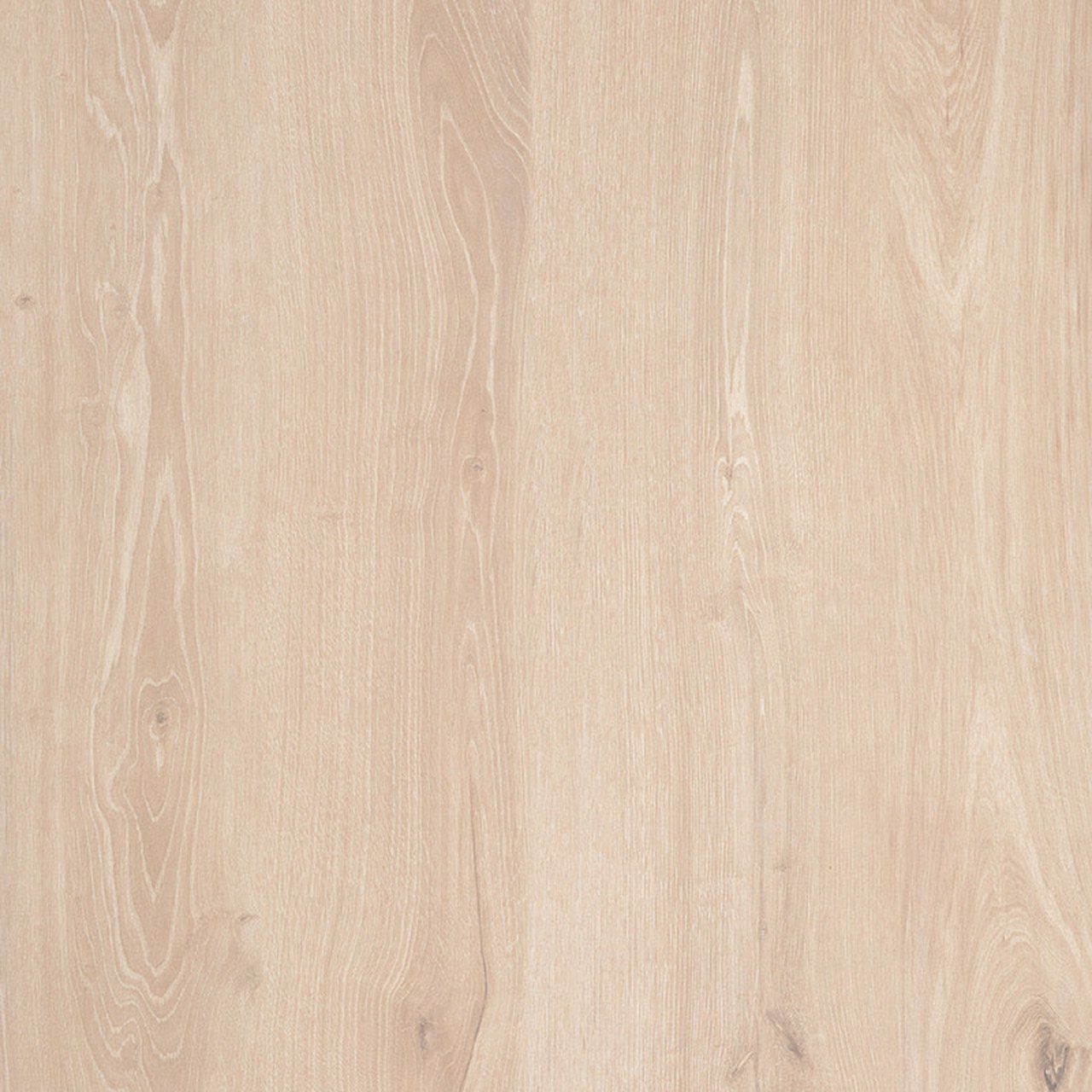 Scandi Roc Beckenrandsteine Exclusive Sizes R-Profil Alaska Wood