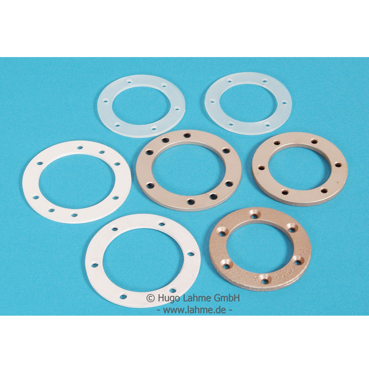 Detailansicht des Lahme Massageanlage Flanschsatzes mit Dichtungen und Flanschringen in verschiedenen Ausführungen