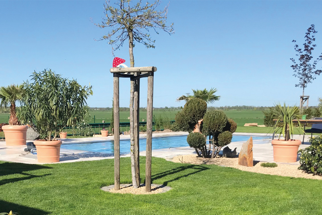 Überlaufbecken Overflow Stone EVO in einer Gartenanlage, umgeben von Rasen und Topfpflanzen