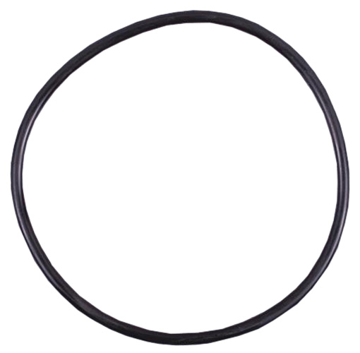 Schwarzer O-Ring als Dichtung für die Astral Chlordosierschleuse.