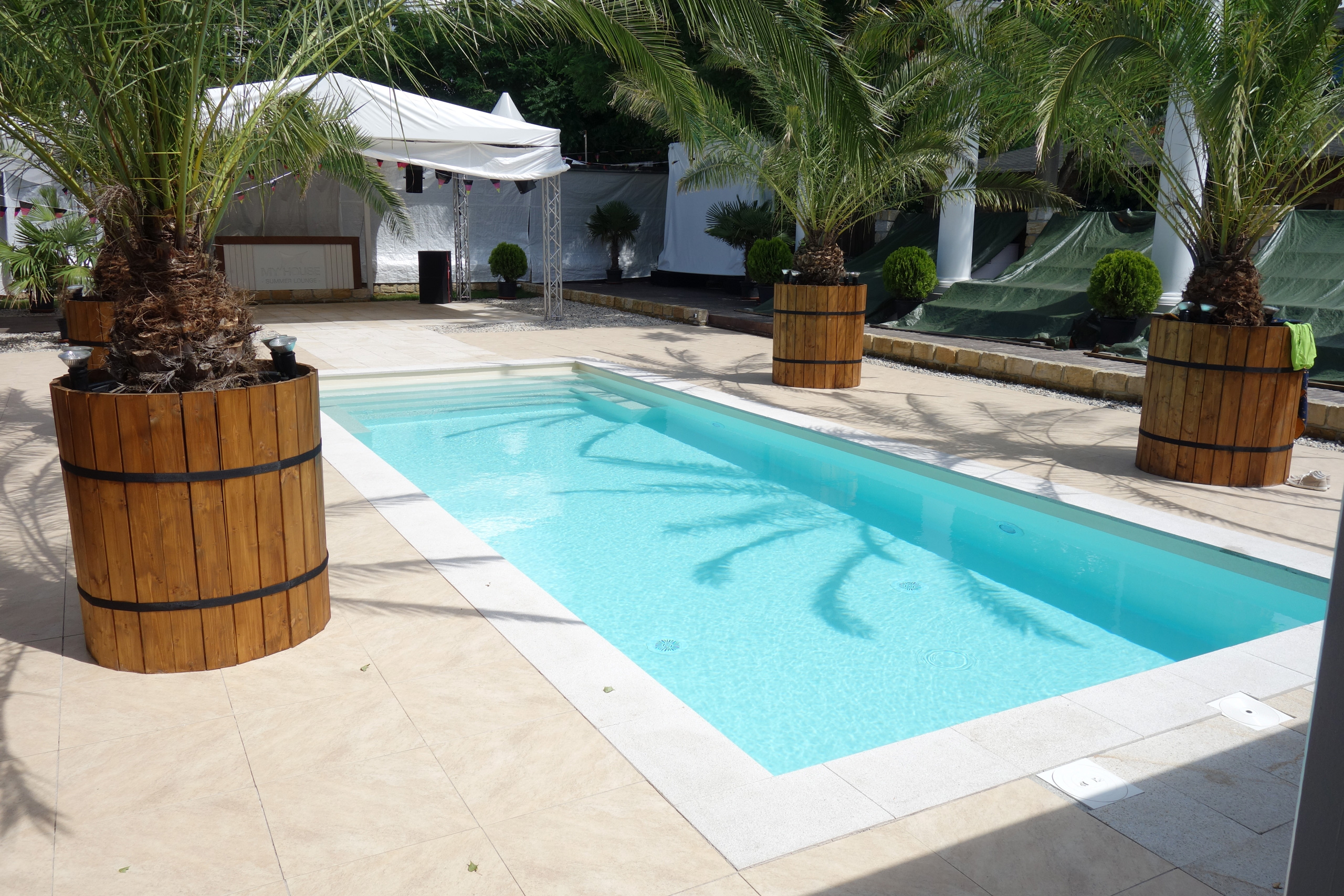 Rechteckiger Pool mit gerader Treppe und Podest, umgeben von Palmen und hellen Fliesen