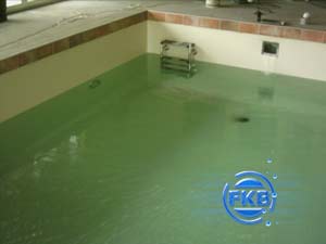Leiter Pool